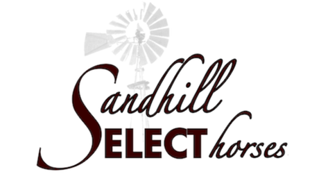 Sandhill Select Horses
